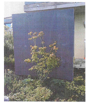 Boundary wall. Would you accept this?
