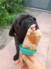 Tell me your home made dog treat recipes!