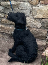 If Monty Don was a woman....