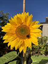 Nature appreciation thread