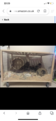 Cage topper for gerbils with 2 cats?