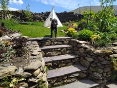 My garden this morning