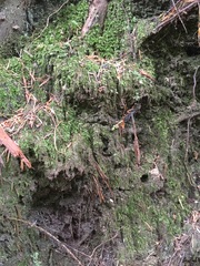 Any Witches Here? Part 14.