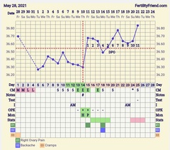 9DPO Symptom Spotting