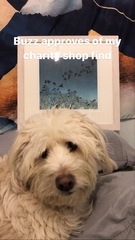 If you shop in charity shops. What do you buy?
