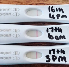 Positive tests, temp dip, bleeding... what is going on?!