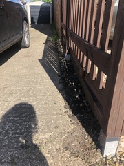 Help! Plants for side of narrow driveway