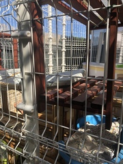 Outdoor cat enclosure DIY