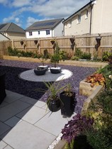 Planted mix of ericaceous and non ericaceous plants - help? New build!