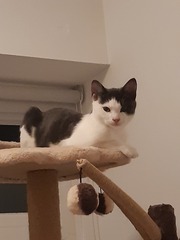 After 23 years of boys we have a girl