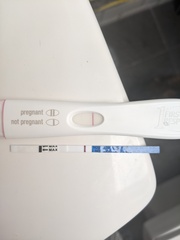 Infertile donkeys hoping for the endo the ttc journey. Longing to be fertile unicorns!
