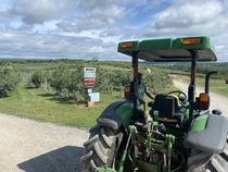 Come and tell me your dull and unexciting news 15: Calmly through the day