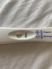 Faint positive or EVAP line? 8 days late