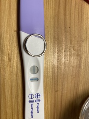 Blue dye tests and evap lines?