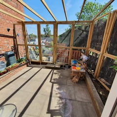 Outdoor cat enclosure DIY