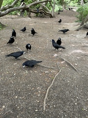 To see how quickly we can fill up this thread - the after party