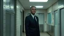 Silver Foxes