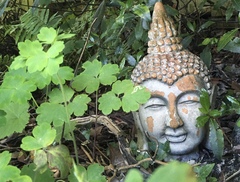 Any Witches Here? Part 14.