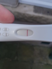 Help! Evap or BFP?