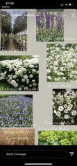 New gardener - I know which plants if like to plant but how do i know which ones to plant where?