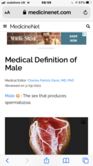 Men/Prostate Cancer ad on the telly.