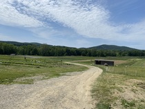 Come and tell me your dull and unexciting news 15: Calmly through the day