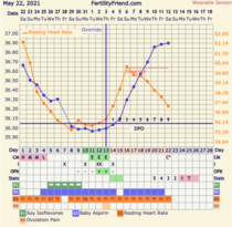 9DPO Symptom Spotting