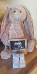 Baby boys scan