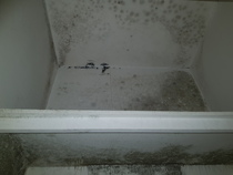Mould- where to start?
