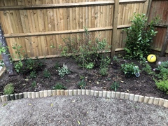 Could do with opinions on new bed