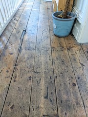LVT oak flooring- show me your pictures!