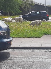 To ask what's occurring in your local Facebook group?