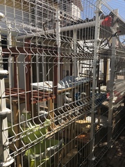 Outdoor cat enclosure DIY