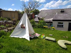 My garden this morning