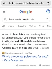 Chez Ollie - All welcome especially Not My Cats. General Cat chat thread