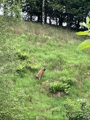 Nature appreciation thread