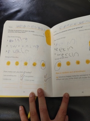 What age child do you think did this writing?