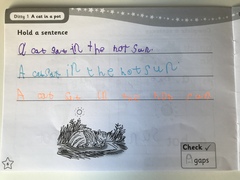What age child do you think did this writing?