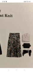 Please can you help me find a skirt like this...