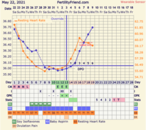 9DPO Symptom Spotting