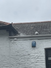 To see how quickly we can fill up this thread?