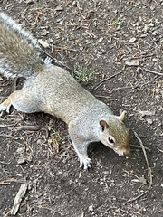 To see how quickly we can fill up this thread?