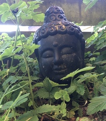 Any Witches Here? Part 14.