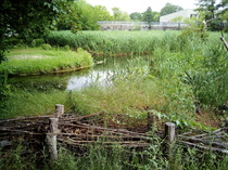 Come and tell me your dull and unexciting news 15: Calmly through the day