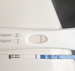 Faint line 10 dpo