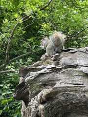 To see how quickly we can fill up this thread?