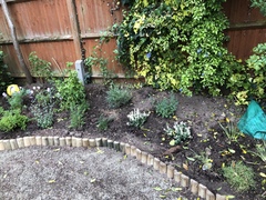 Could do with opinions on new bed