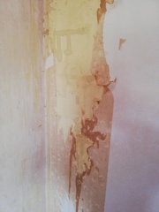 Wallpaper on plasterboard - finish stripping or get in professional?