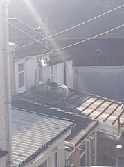 To ask what's occurring in your local Facebook group?