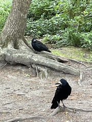 To see how quickly we can fill up this thread - the after party